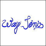 logo_waytenis